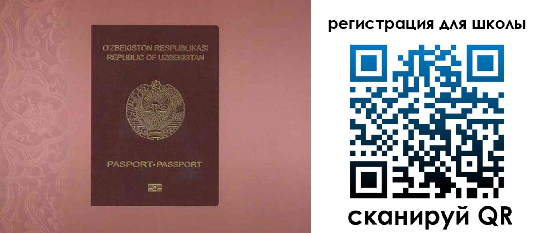 прописка для школы в Алексине