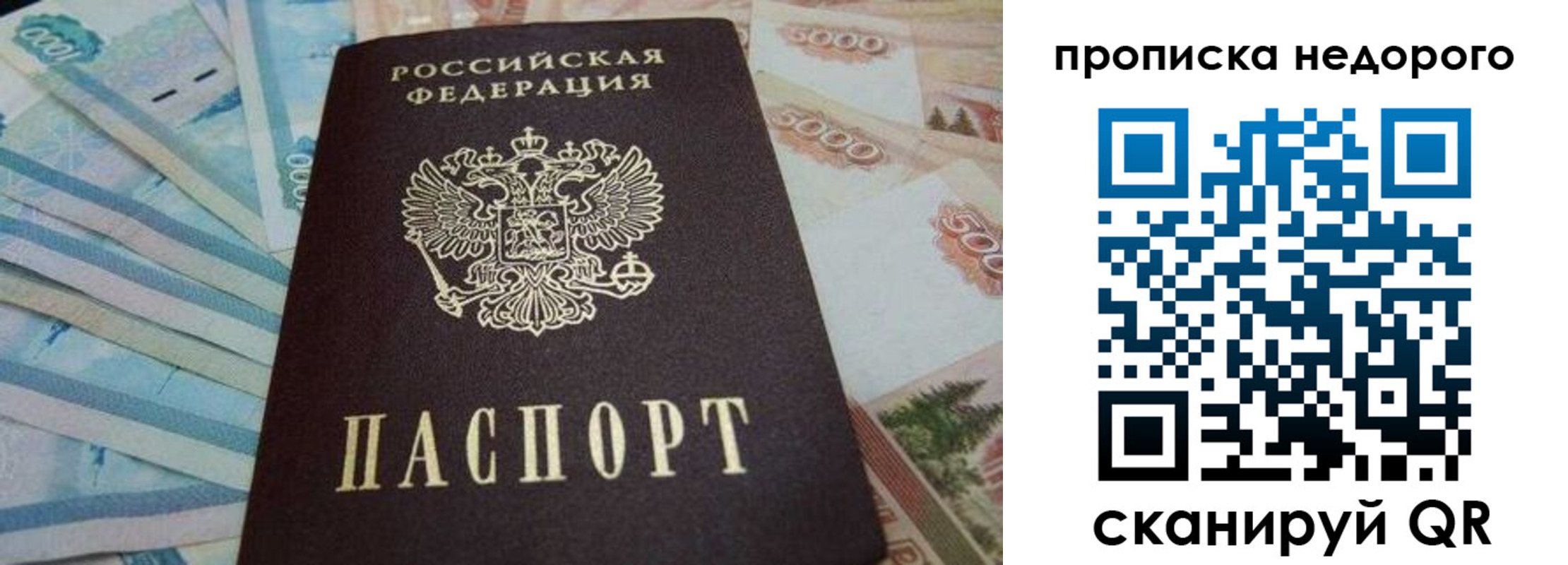 временная регистрация поиск в Алексине